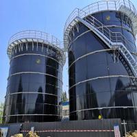 China Biomass And Biogas Energy Biogas Plant For Electricity Generation factory