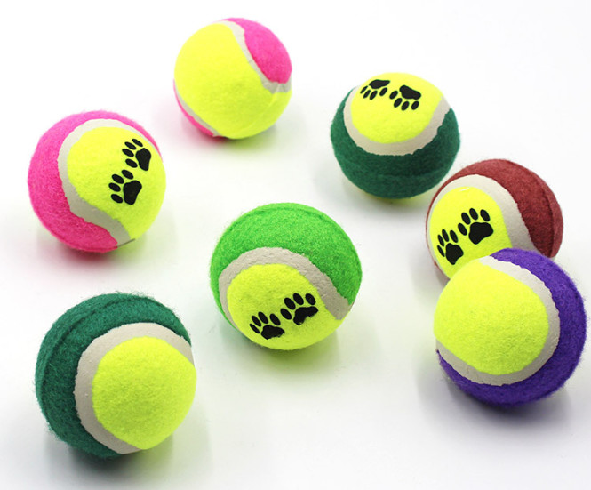 China Interactive Safe Rubber Pet Tennis Balls For Traning Exercise Playing factory