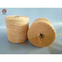 China High Tenacity Recycled Polyester Cotton Banana Baler Twine Eco Friendly factory