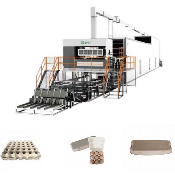 Quality Full Automatic Fiber Moulding Machine 200KW Fruit Tray Production Line for sale