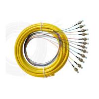 Quality PVC, OM1, OM2 or OM3 Bundle Multi - Fiber Optic Pigtail for Video Transmission for sale