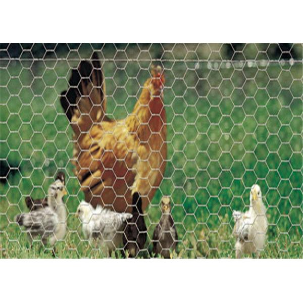 Quality High Strength Welded Hexagonal Wire Netting , PVC Coated Green Chicken Wire Mesh for sale