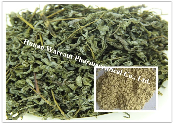 China Hot Water Soluble Antibiotic Action Vine Tea Extract factory