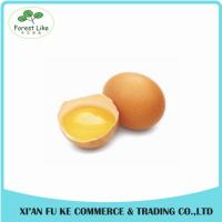 China High Quality Eggs Yolk Powder Eggs Yolk Lecithin factory