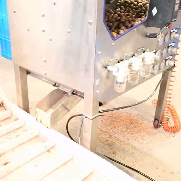 Quality 380V Operated Pecan Shelling Machine With CE Certification for sale