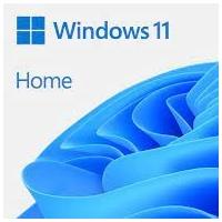 China Windows 11 Home 32/64 Bit Activation Key factory