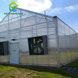 Quality Commercial Single Span Venlo Type PC Sheet Greenhouse Impact Resistant for sale