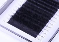 China Volume 0.12MM Flat Eyelash Extensions , Ellipse Flat Lashes Synthetic Fiber Material factory