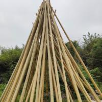 China Natural Garden Bamboo Sticks For Indoor Outdoor Tomatoes Potted Plants Support Stakes factory