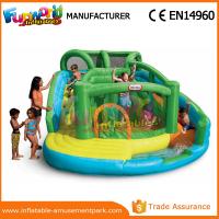 China Customized Interesting Mega Aqua Water Slide Large Inflatable Pool Slide factory