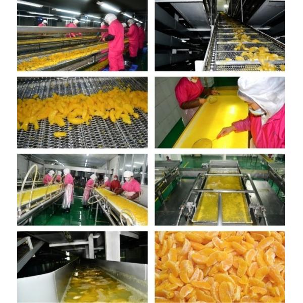 Quality Citrus Orange Sacs NFC Juice Processing Line Lemon Juice Extraction Machine for sale