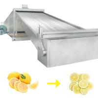 Quality Fruit Category Mesh Belt Drying Equipment Maintain High Quality Drying for sale