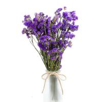 china Brightly Colored Purple Limonium Flower Forget Me Not For Decoration