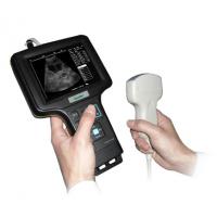 China Handheld ultrasound scanner Handheld ultrasound machine system factory