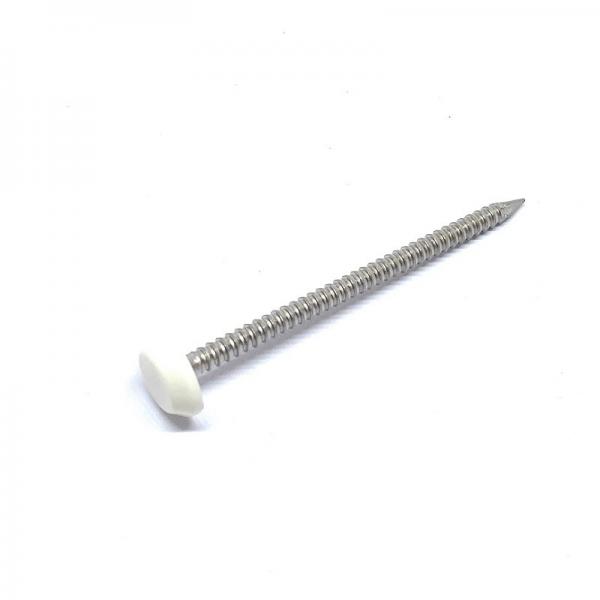 Quality 50mm X 2.65mm Annular Ring Shank Plastic Cap Roofing Nails Stainless Steel A4 Grade for sale