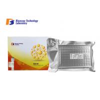 China 96 Wells 48 Wells Mouse MGP Sandwich ELISA Kit With Strong Sensitivity and Specificity for sale