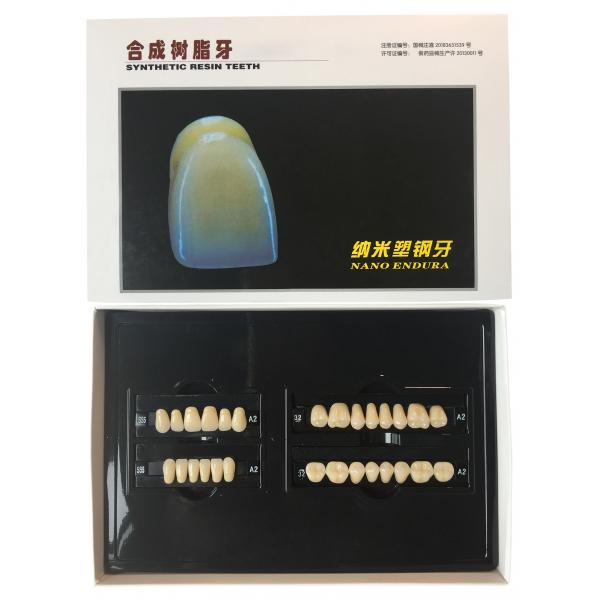 Quality Plastic Polymer Dental Acrylic Resin Teeth A1 A3 2 Layers Dental Composite Resin for sale