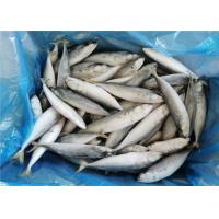 Quality Pacific IQF Fish 80g Whole Round Bulk Fresh Frozen Mackerel for sale