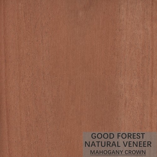 Quality Hardly Mahogany Natural Wood Veneer Customized Crown Cut Grain for sale