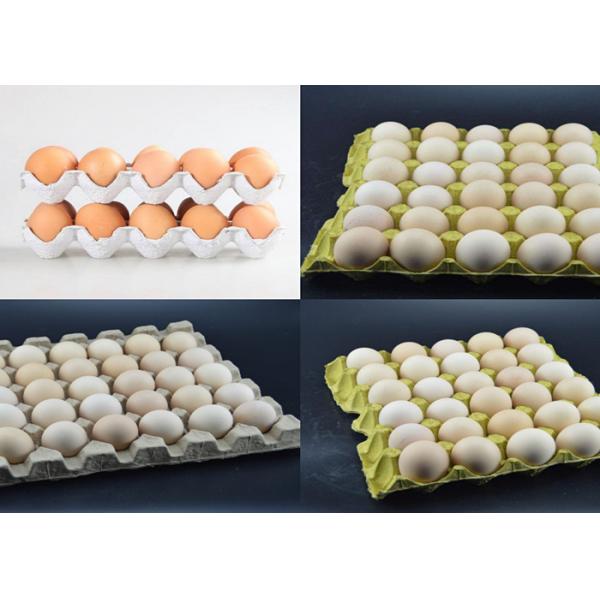 Quality High Efficiency Paper Egg Tray Machine , Paper Pulp Egg Carton Making Machine for sale