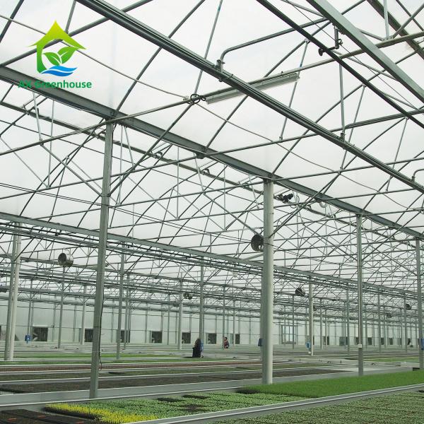 Quality Vertical Farming Clear Polycarbonate Greenhouse 3m To 7m Height for sale