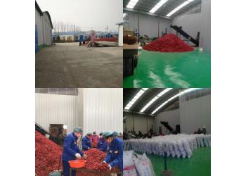 China Factory - Neihuang Xinglong Agricultural Products Co. Ltd