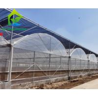 Quality Multi Span Cucumber Plants Greenhouse PO Film 20m 100m Length for sale