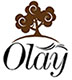 China Hangzhou Olay furniture co.,ltd logo