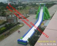 China Giant Inflatable Water Slide-Hippo Slide inflatable water slides Inflatable Hippo Slide factory
