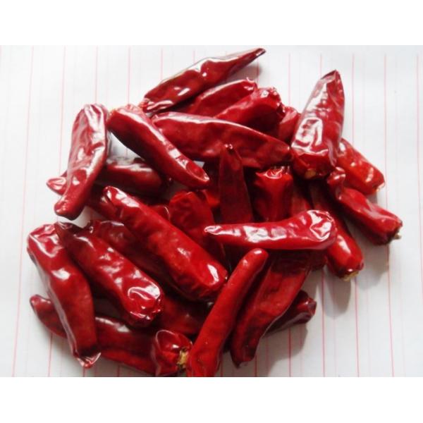 Quality Chaotian Hot Pot Chilli Dehydrated Whole Dried Red Chili Peppers for sale