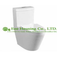 China Wc Toilet  S-trap 300mm siphonic one piece toilet with built-in bidet factory