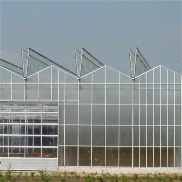 Quality Customizable High Durability Multispan Greenhouse Rain Resistant for sale