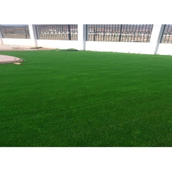 Quality 25MM Pile Height Indoor Artificial Grass double S Shape Landscaping Artificial for sale