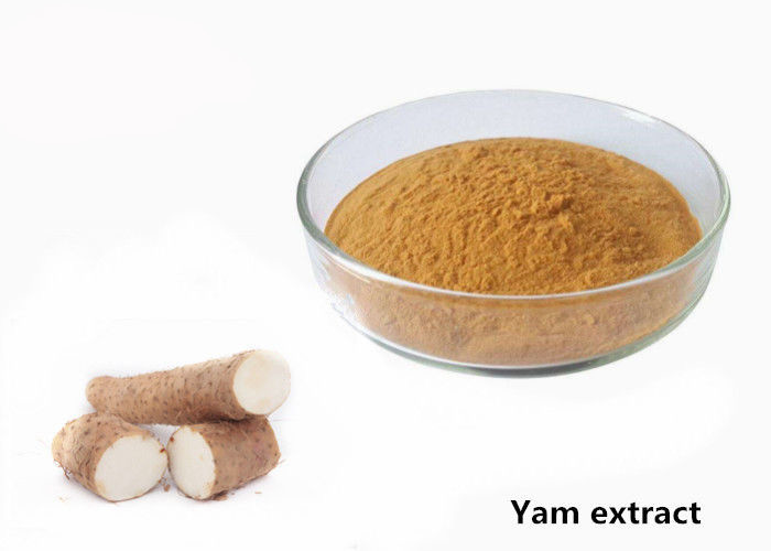 China Anti Fatigue 1kg Natural Wild Yam Plant Extract Powder factory