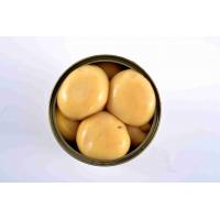 Quality Healthy Whole Canned Mushrooms Agaricus Bisporus Type Natural Raw Material for sale