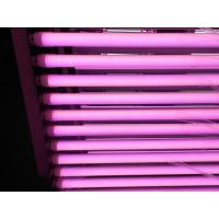 China 2015 hot sales 1200mm SMD2835 LED T8 pink tube for sale