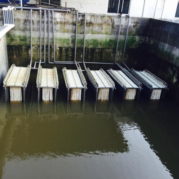 Quality MBR Hollow Fiber Membrane Bioreactor Sewage Treatment for sale