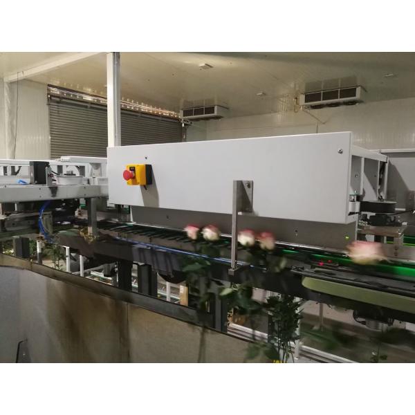 Quality Fresh Flower Accurate Focusight Inspection Machine for sale
