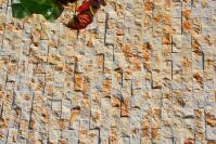 China Golden Yellow Marble Mosaic,Natural Marble Wall Mosaic,Marble Stone Mosaic,Yellow Mosaic Wall Tiles factory