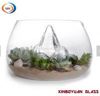 China Clear Desktop Round Glass Vases Fish Bowl ,glass terrarium for plant factory