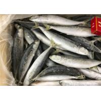China Seafood Health High Protein 100g 120g Frozen Round Scad factory