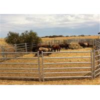 Quality Paint Surface Treatment Heavy Duty Cattle Panels / Metal Tube Farm Gates for sale