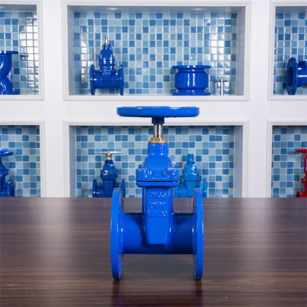 Quality QT450 DN65 Resilient Gate Valve F4 Copper Nut GGG50 Industrial Z45X German for sale