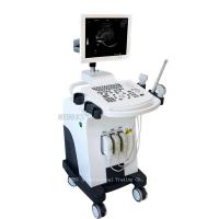 Quality Trolley Medical Diagnosis Equipment M-B350T trolley B/W ultrasound scanner for sale