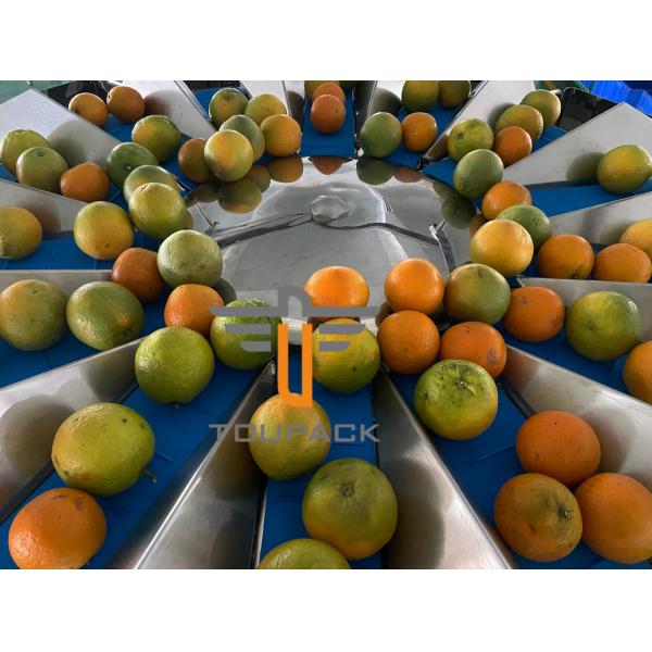 Quality Oranges Food Grade 5.0L 14 Head Multihead Weigher for sale