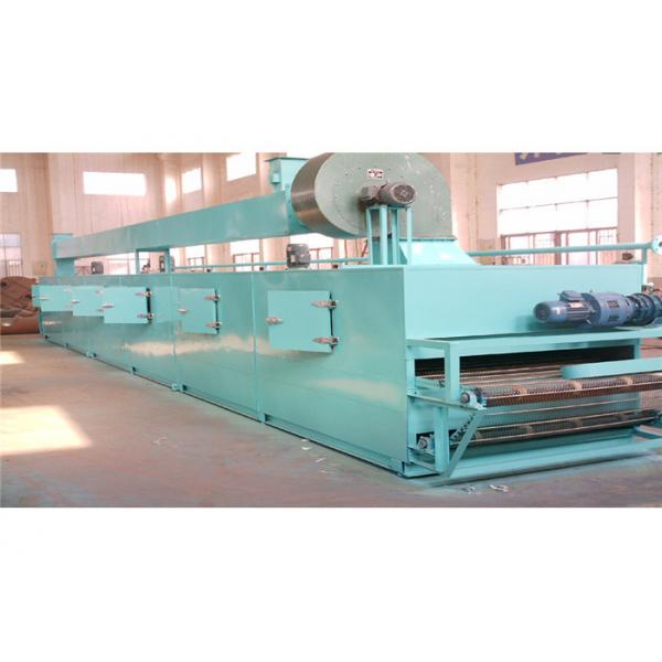Quality 0.2-1.2h drying Time DWT Industrial Conveyor Belt Dryer For Vegetable Dehydration for sale