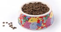 China Portable Eco Friendly Dog Products Food Water Bowl Ceramic Drink Dispenser Feeder factory