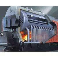 China DZL Industrial Biomass Boiler , Wood Fired Steam Boiler Easy Operation factory