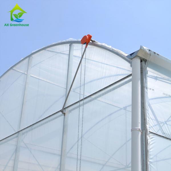 Quality Plastic Film Greenhouse For Vegetables for sale