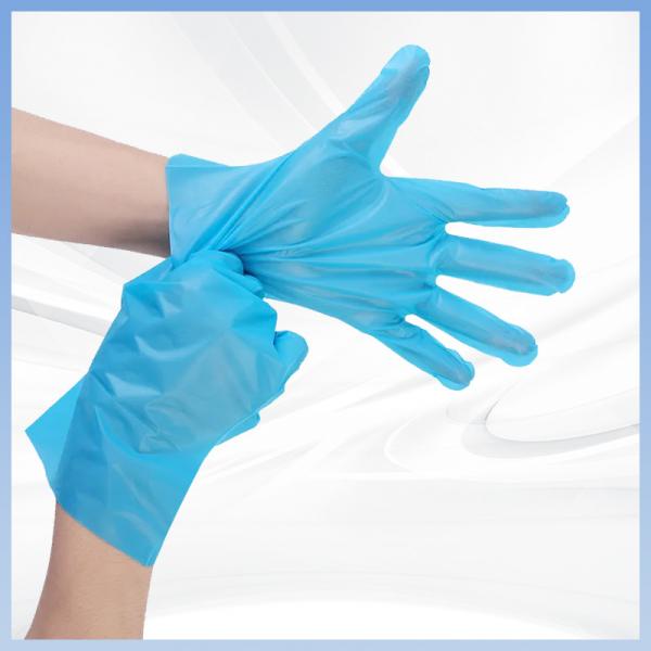 Quality Latex Free Disposable TPE Gloves For Clinics Laboratories for sale